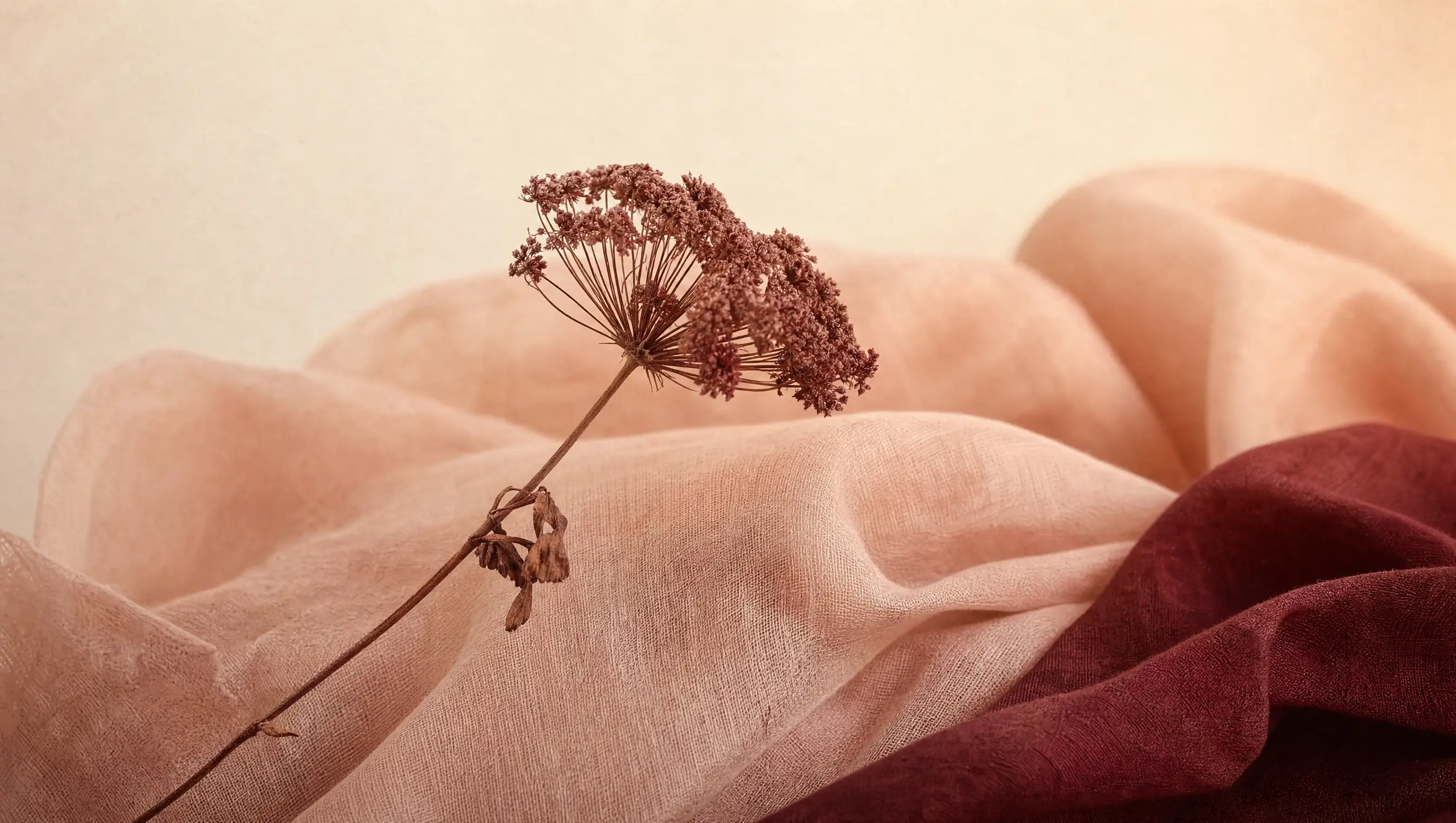 A single dried flower resting on folded linen in muted rose tones